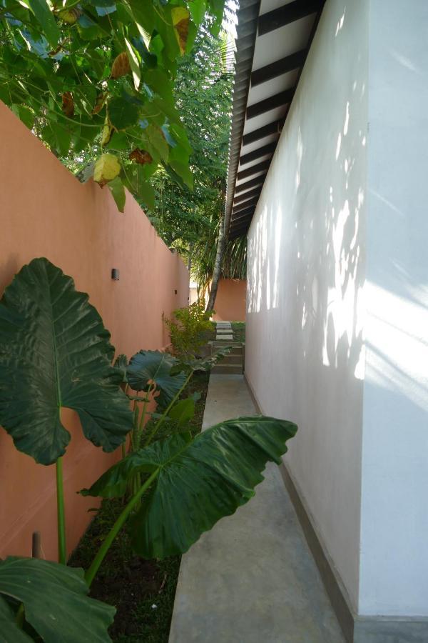 Barefoot Backpackers Hostel Dikwella Sur Exterior foto